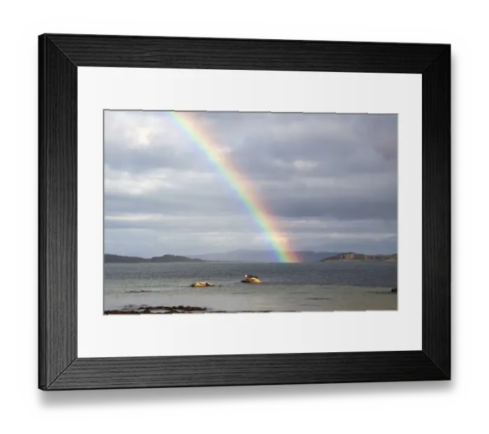 Framed Print : Common Seal resting on rock as the tide goes out with rainbow over the Sound of Jura- Scotland Framed Print : Common Seal resting on rock as the tide goes out with rainbow over the Sound of Jura- Scotland