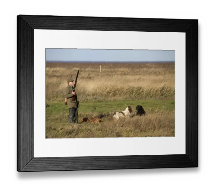 Framed Print : Man with12 bore shotgun and working gun dogs, at pheasant shoot The Wash North Norfolk, England, winter Framed Print : Man with12 bore shotgun and working gun dogs, at pheasant shoot The Wash North Norfolk, England, winter