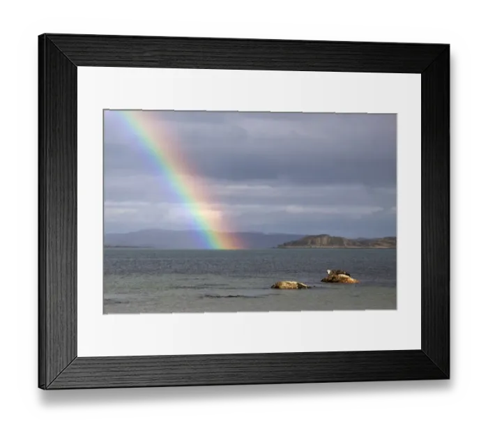 Framed Print : Common Seal resting on rock as the tide goes out with rainbow over the Sound of Jura- Scotland Framed Print : Common Seal resting on rock as the tide goes out with rainbow over the Sound of Jura- Scotland
