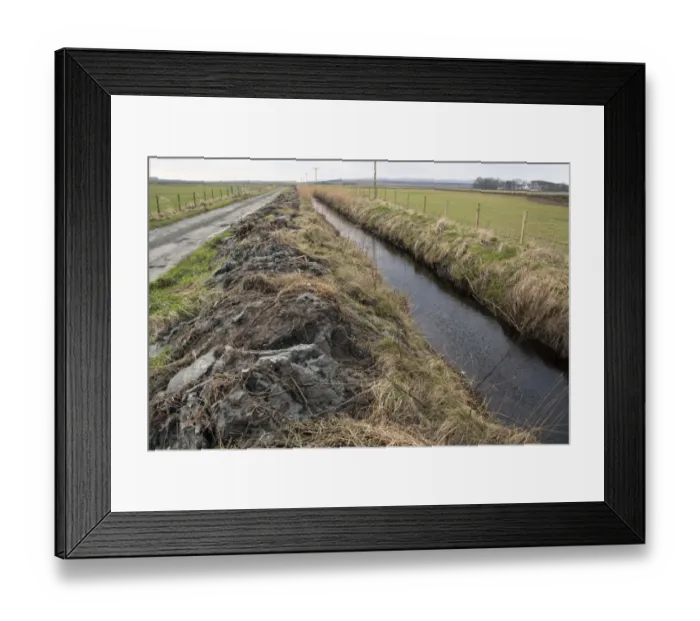 Framed Print : newly cleared ditch showing mud and reed spread over the bank. Islay Scotland Framed Print : newly cleared ditch showing mud and reed spread over the bank. Islay Scotland