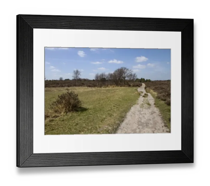 Framed Print : Foot path on Dunwich Heath, Suffolk - early spring Framed Print : Foot path on Dunwich Heath, Suffolk - early spring