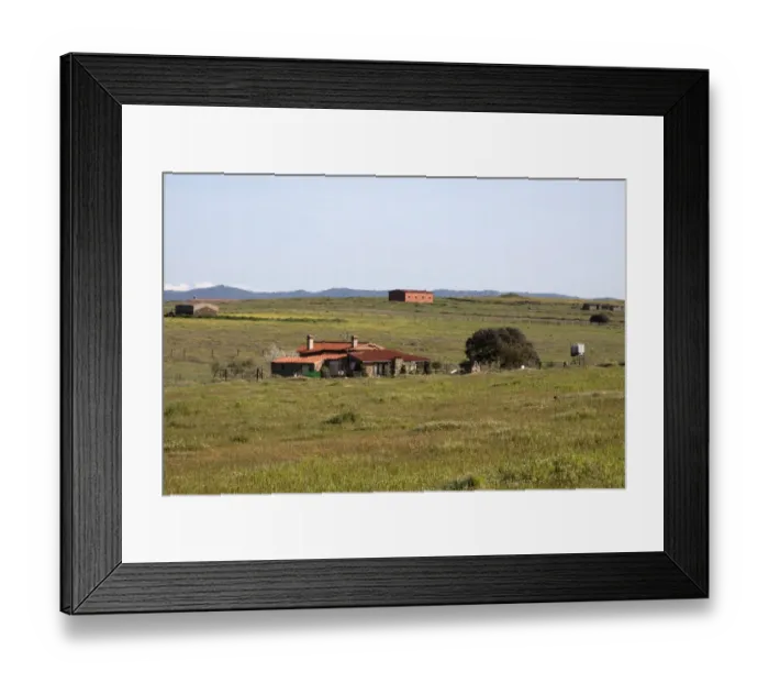 Framed Print : Fields around a small farm on the Belen Plateau, Extremadura, Spain. A well know habitat for the Great Bustard Framed Print : Fields around a small farm on the Belen Plateau, Extremadura, Spain. A well know habitat for the Great Bustard