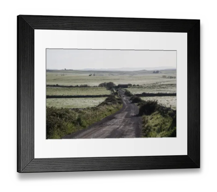 Framed Print : Early morning dew covers the fields. The Cortijo Belen Road is well known to bird watchers for the great variety of