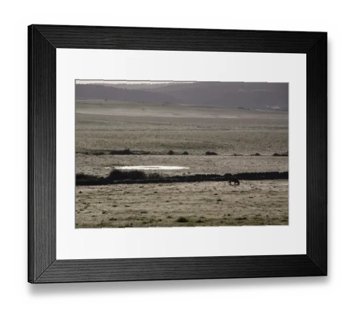 Framed Print : Early morning dew covers the fields of the Belen Plateau. Belen, Extremadura, Spain