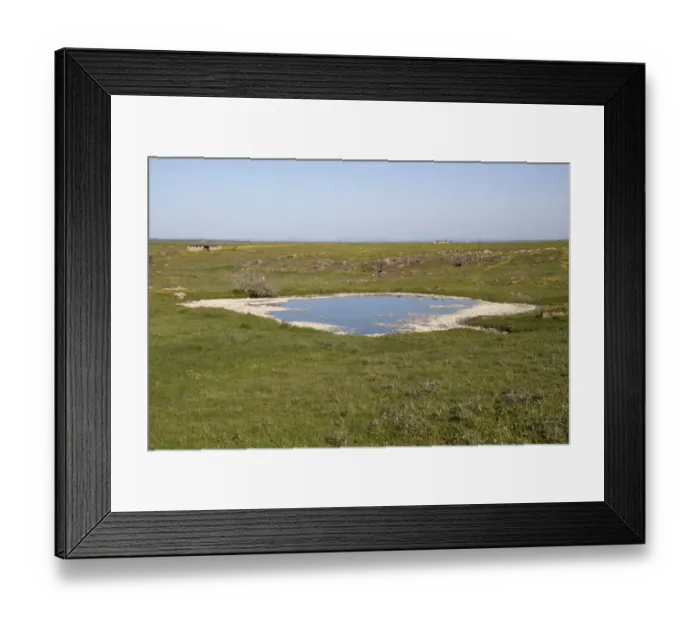 Framed Print : After a long spell of rain the small ponds on the high plateau of the Belen Plains are full. Extremadura, Spain