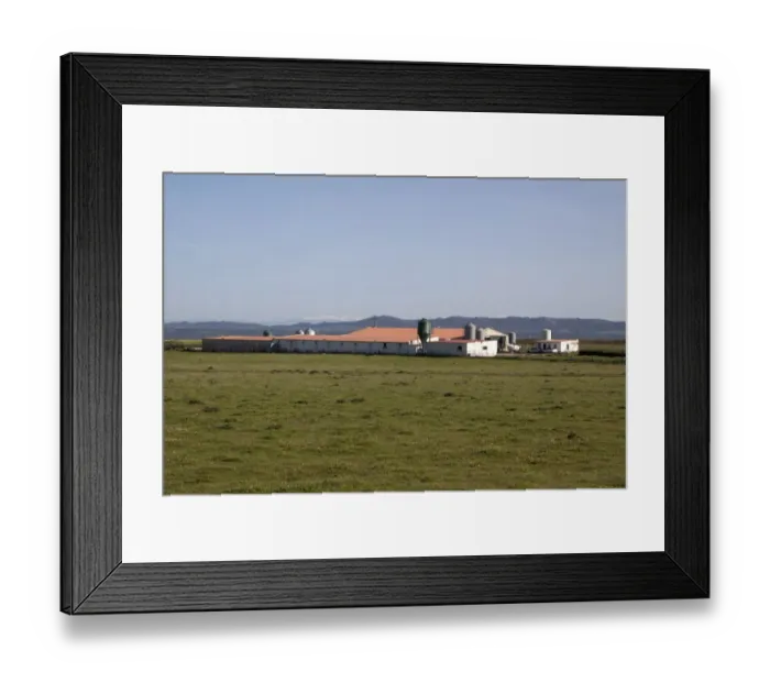 Framed Print : Intensive pig farming sheds on the Belen Plateau, Extremadura, Spain