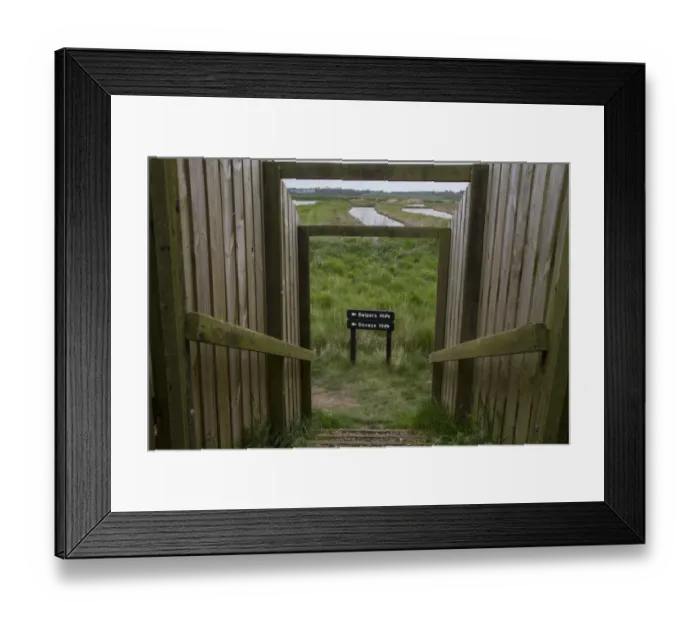 Framed Print : Havergate Island Suffolk. Foot path to hides looking west over Marsh