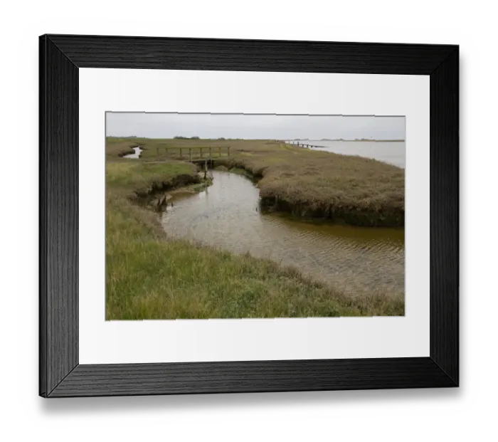 Framed Print : Havergate Island east side, looking over saltmarsh habitat and the Narrows. - Suffolk