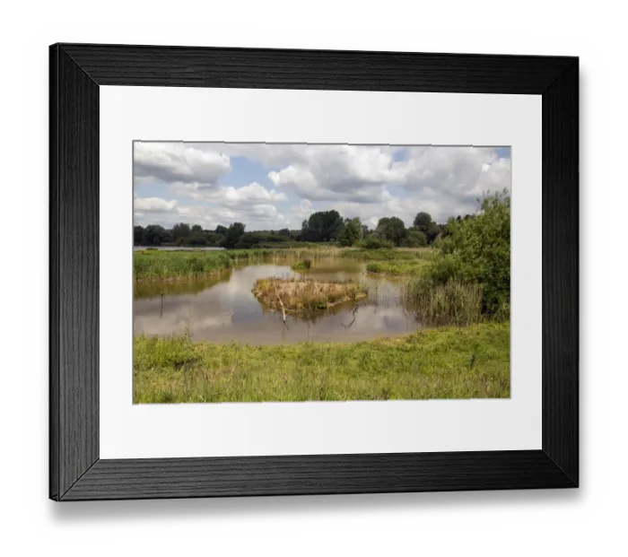 Framed Print : Looking from the main hide over the lakes, note the kingfisher on the post to the right of the first Island Framed Print : Looking from the main hide over the lakes, note the kingfisher on the post to the right of the first Island