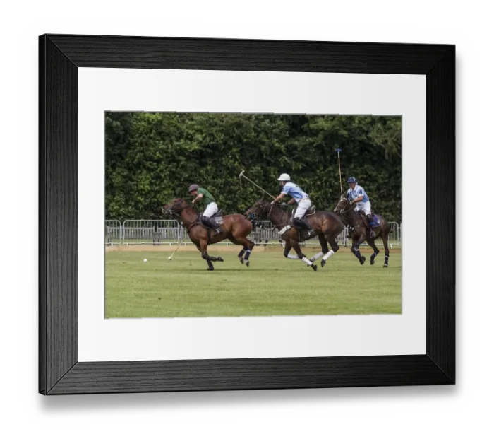 Framed Print : Hopkins international polo at Trinity Park, Ipswich, Suffolk. England against Argentina Framed Print : Hopkins international polo at Trinity Park, Ipswich, Suffolk. England against Argentina