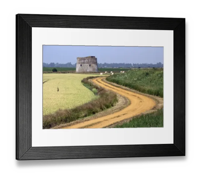 Framed Print : Suffolk coastal, Martello Tower Z