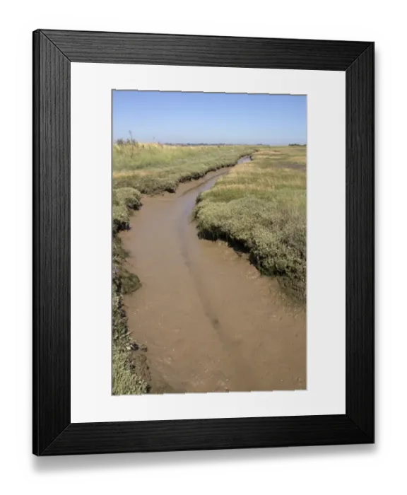 Framed Print : salt marsh drainage channel on Havergate Island, Suffolk Framed Print : salt marsh drainage channel on Havergate Island, Suffolk