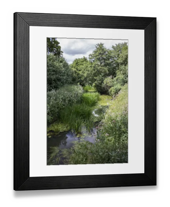 Framed Print : The River Gipping at Stowmarket, Suffolk. Mid-summer and the river flow is low with lots of vegitation growing in