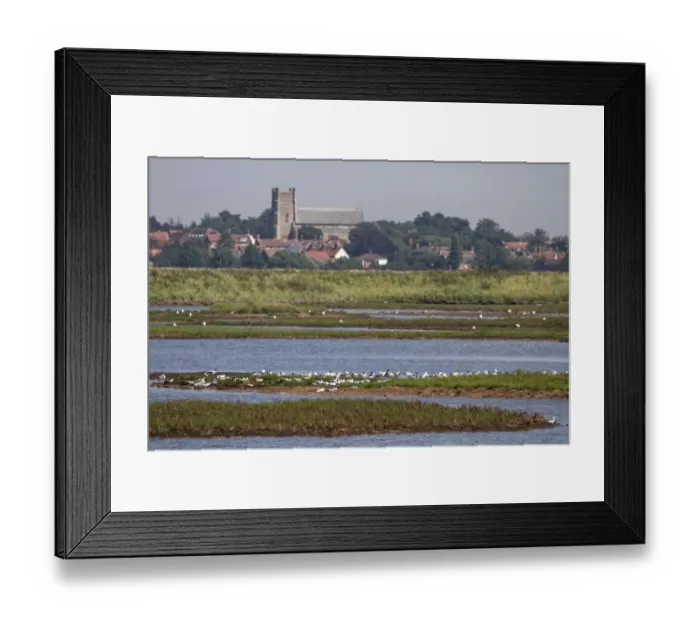 Framed Print : Looking over flock of resting Avocets on Havergate Island Marsh towards Orford, which shows the church. - Suffolk Framed Print : Looking over flock of resting Avocets on Havergate Island Marsh towards Orford, which shows the church. - Suffolk