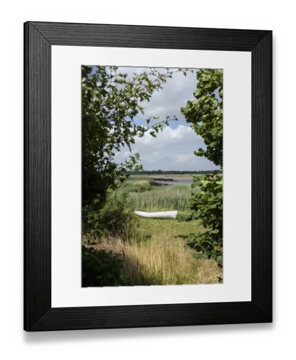 Framed Print : Looking out over the River Alde and marshland habitat at Iken, Suffolk Framed Print : Looking out over the River Alde and marshland habitat at Iken, Suffolk