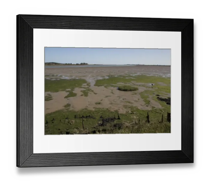 Framed Print : Colne Estuary Essex viewed from Geedon bay Hide at Fingringhoe Wick Nature Reserve Framed Print : Colne Estuary Essex viewed from Geedon bay Hide at Fingringhoe Wick Nature Reserve