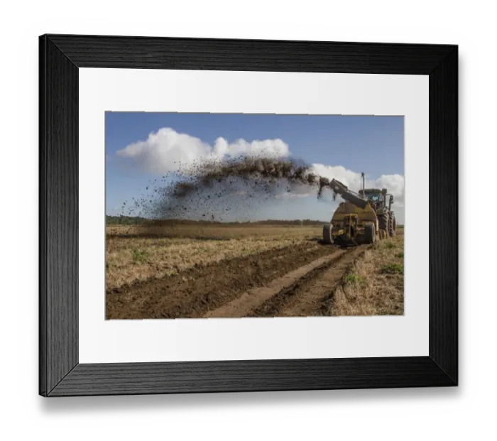 Framed Print : The restoration and creation of wetland habitats for wading birds and waterfowl Framed Print : The restoration and creation of wetland habitats for wading birds and waterfowl