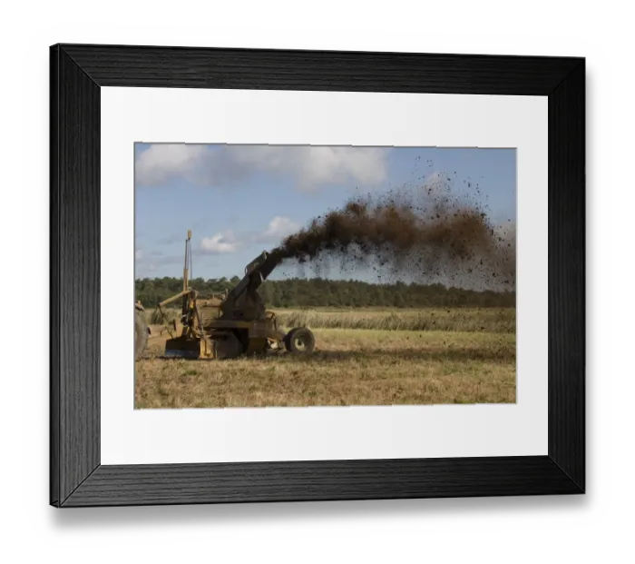 Framed Print : The restoration and creation of wetland habitats for wading birds and waterfowl Framed Print : The restoration and creation of wetland habitats for wading birds and waterfowl
