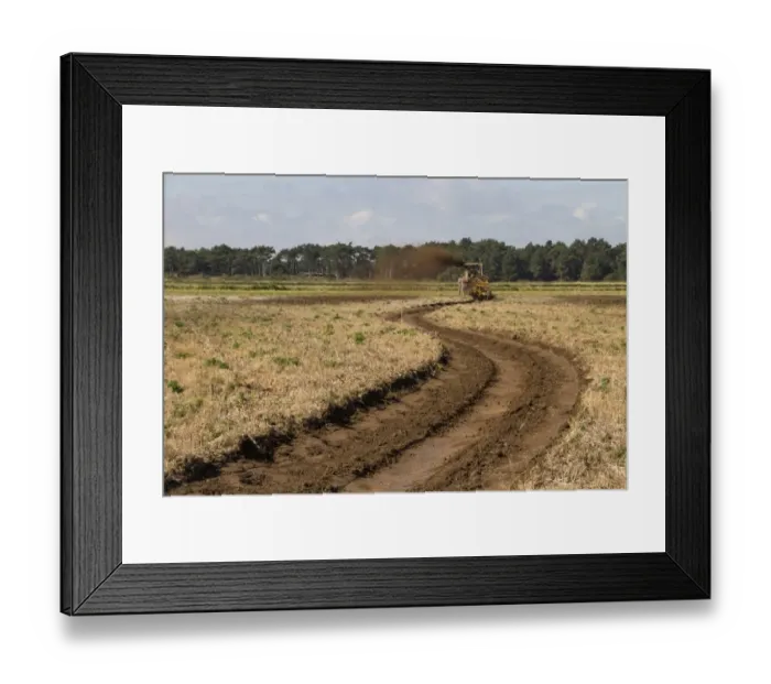 Framed Print : The restoration and creation of wetland habitats on the Holkham Estate for wading birds and waterfowl Framed Print : The restoration and creation of wetland habitats on the Holkham Estate for wading birds and waterfowl