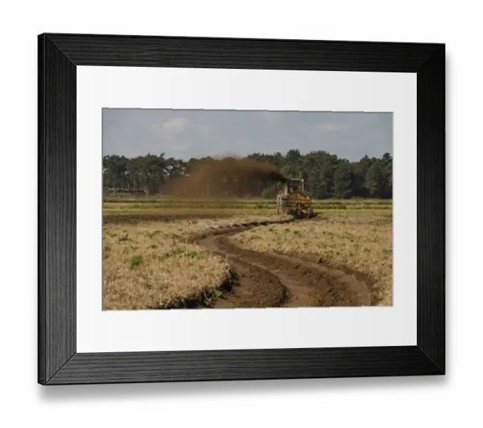 Framed Print : The restoration and creation of wetland habitats for wading birds and waterfowl Framed Print : The restoration and creation of wetland habitats for wading birds and waterfowl
