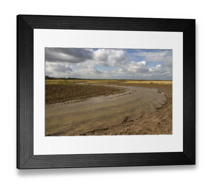 Framed Print : Burnham Overy Marsh, recently cut by a rotary cutter these shallow channels are designed to hold standing water Framed Print : Burnham Overy Marsh, recently cut by a rotary cutter these shallow channels are designed to hold standing water