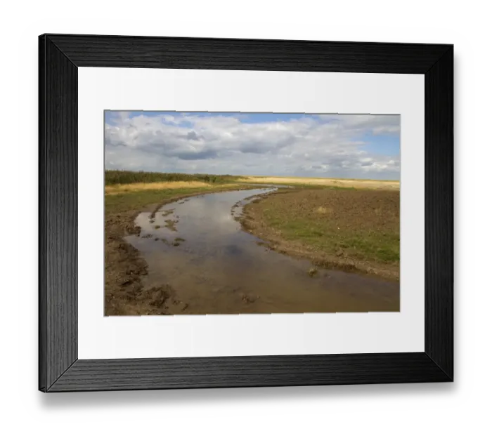 Framed Print : Burnham Overy Marsh, recently cut by a rotary cutter these shallow channels are designed to hold standing water Framed Print : Burnham Overy Marsh, recently cut by a rotary cutter these shallow channels are designed to hold standing water