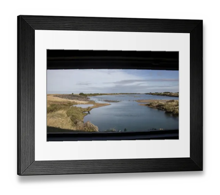 Framed Print : Looking from Sanctuary hide at RSPB Snettisham north over Oystercatchers and Greylag Geese Framed Print : Looking from Sanctuary hide at RSPB Snettisham north over Oystercatchers and Greylag Geese