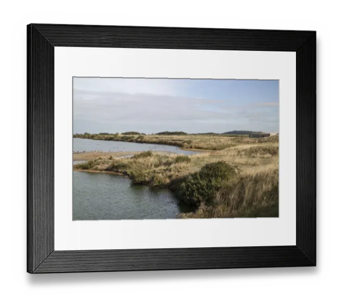 Framed Print : Looking from Sanctuary hide at RSPB Snettisham to Roost hide. Mainly Greylag Geese, roost at the autumn high tide Framed Print : Looking from Sanctuary hide at RSPB Snettisham to Roost hide. Mainly Greylag Geese, roost at the autumn high tide