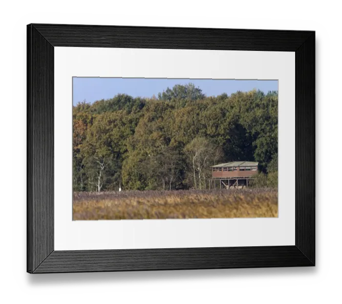 Framed Print : The Bittern Hide at RSPB Minsmere - Suffolk Framed Print : The Bittern Hide at RSPB Minsmere - Suffolk