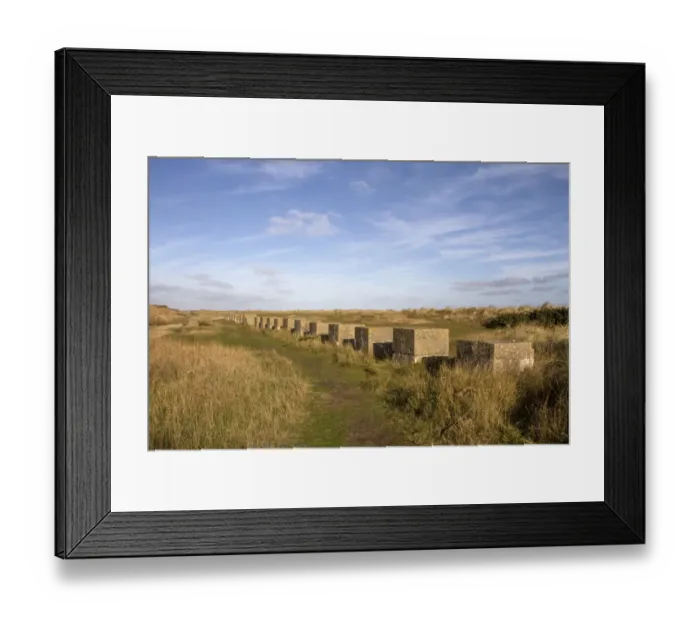 Framed Print : The dunes at Minsmere still have World War two anti Tank cubes Framed Print : The dunes at Minsmere still have World War two anti Tank cubes