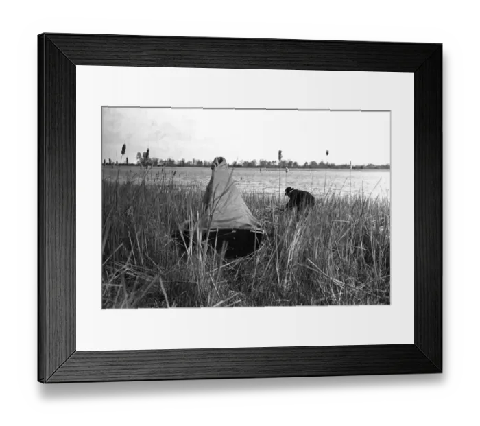 Framed Print : Hide built in a boat for photographing a Coots nest, Hickling Broad Norfolk Easter 1933. Photo by Eric Hosking Framed Print : Hide built in a boat for photographing a Coots nest, Hickling Broad Norfolk Easter 1933. Photo by Eric Hosking