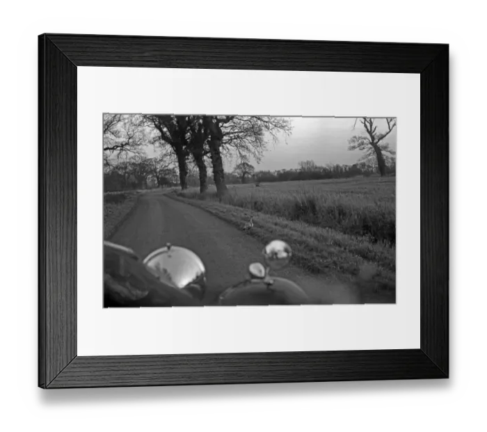 Framed Print : Macqueens Bustard (Houbara) Near Minsmere Suffolk 10 / 12 / 1962. Photo by Eric Hosking Framed Print : Macqueens Bustard (Houbara) Near Minsmere Suffolk 10 / 12 / 1962. Photo by Eric Hosking