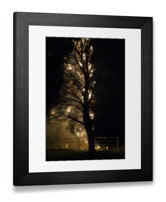 Framed Print : November 5th firework display Framed Print : November 5th firework display