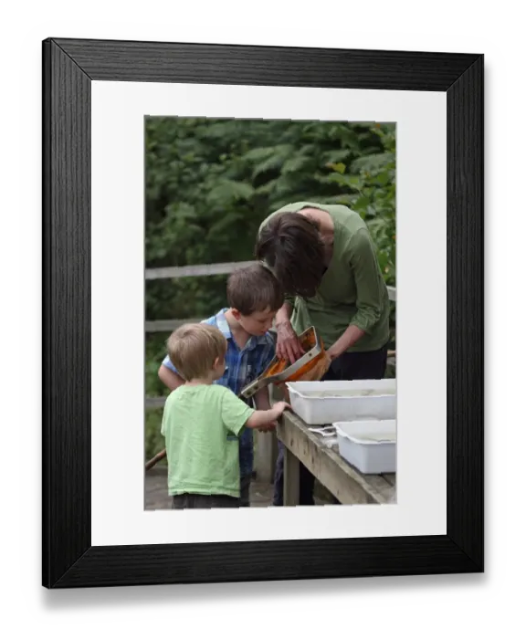 Framed Print : Woman and boys pond dipping, looking into net, Minsmere RSPB Reserve, Suffolk, England, August Framed Print : Woman and boys pond dipping, looking into net, Minsmere RSPB Reserve, Suffolk, England, August