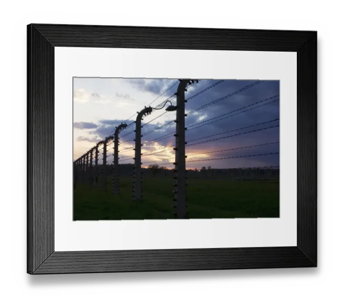 Framed Print : Barbed wire fence at sunset, in concentration and extermination camp, Auschwitz Birkenau, Poland Framed Print : Barbed wire fence at sunset, in concentration and extermination camp, Auschwitz Birkenau, Poland