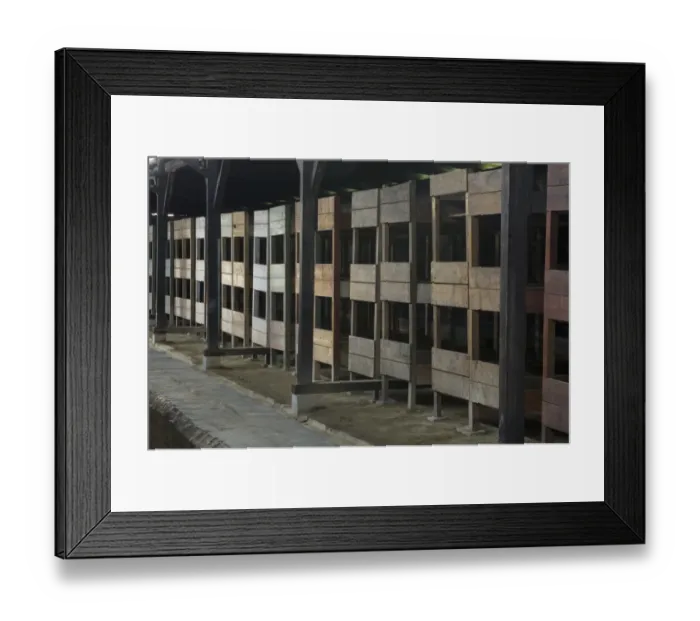 Framed Print : Beds inside prisoner housing, in concentration and extermination camp, Auschwitz Birkenau, Poland