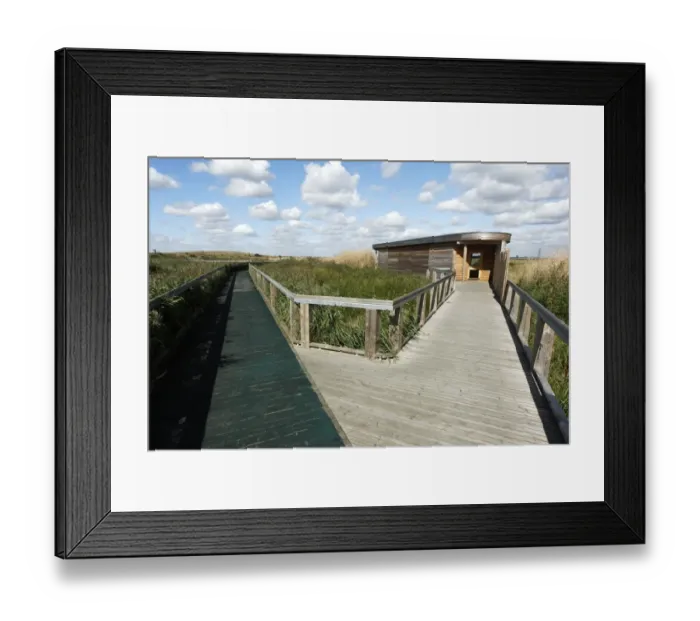 Framed Print : View of boardwalk and birdwatching hide in marshland habitat, Rainham Marshes RSPB Reserve, Thames Estuary, Essex Framed Print : View of boardwalk and birdwatching hide in marshland habitat, Rainham Marshes RSPB Reserve, Thames Estuary, Essex