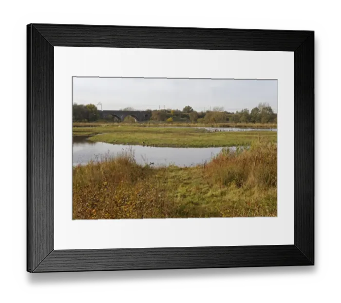 Framed Print : View of flooded former gravel pit habitat, Marsh Lane Nature Reserve, Packington Estate, West Midlands, England Framed Print : View of flooded former gravel pit habitat, Marsh Lane Nature Reserve, Packington Estate, West Midlands, England