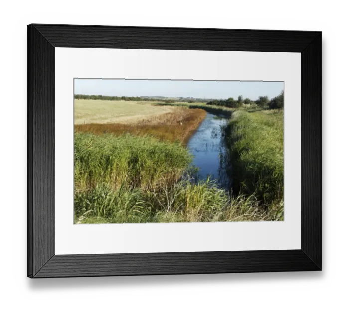 Framed Print : View of freshwater dyke and coastal grazing marsh habitat, West Canvey Marsh RSPB Reserve, Canvey Island Framed Print : View of freshwater dyke and coastal grazing marsh habitat, West Canvey Marsh RSPB Reserve, Canvey Island
