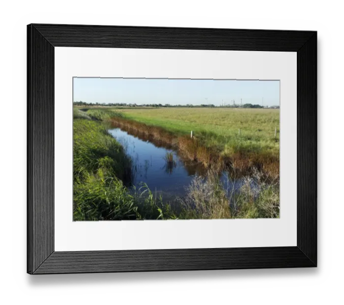Framed Print : View of freshwater dyke and coastal grazing marsh habitat, West Canvey Marsh RSPB Reserve, Canvey Island Framed Print : View of freshwater dyke and coastal grazing marsh habitat, West Canvey Marsh RSPB Reserve, Canvey Island