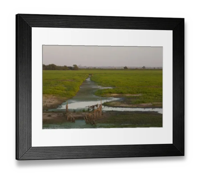 Framed Print : View over wetland nature reserve towards Ely Cathedral in distance, RSPB Ouse Washes, Cambridgeshire, England Framed Print : View over wetland nature reserve towards Ely Cathedral in distance, RSPB Ouse Washes, Cambridgeshire, England