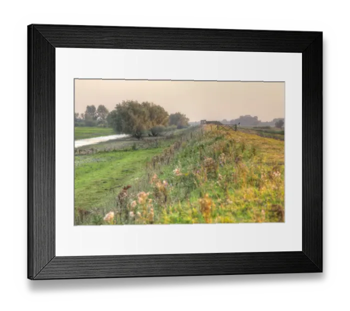 Framed Print : View along flood embankment on wetland nature reserve towards birdwatching hide in evening sunlight, RSPB Ouse Washes Framed Print : View along flood embankment on wetland nature reserve towards birdwatching hide in evening sunlight, RSPB Ouse Washes