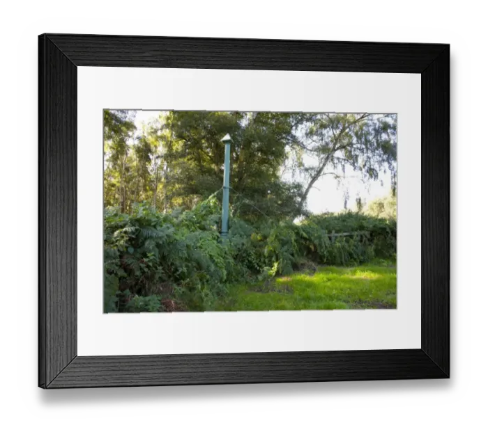 Framed Print : Cast-iron post, top of post indicating ground level in 1851 when fens were drained, The Holme Posts, Holme Fen N. N. R Framed Print : Cast-iron post, top of post indicating ground level in 1851 when fens were drained, The Holme Posts, Holme Fen N. N. R