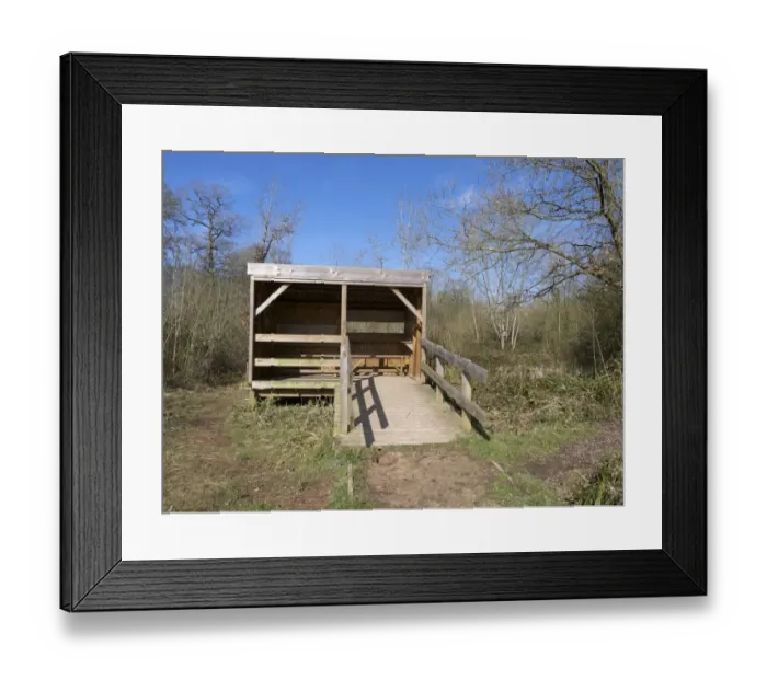 Framed Print : Birdwatching hide in woodland habitat, Highnam Woods RSPB Reserve, Gloucestershire, England, March Framed Print : Birdwatching hide in woodland habitat, Highnam Woods RSPB Reserve, Gloucestershire, England, March