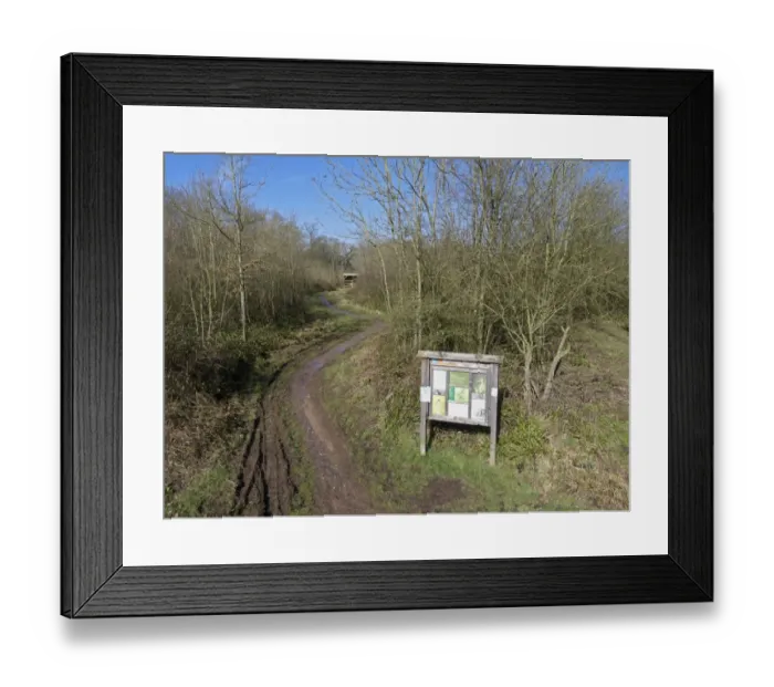 Framed Print : Entrance sign and track in woodland habitat, Highnam Woods RSPB Reserve, Gloucestershire, England, March Framed Print : Entrance sign and track in woodland habitat, Highnam Woods RSPB Reserve, Gloucestershire, England, March