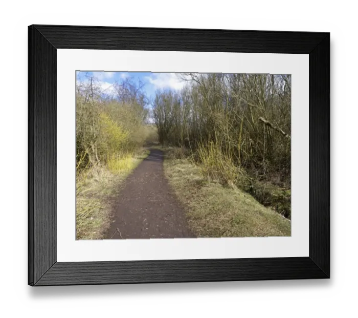 Framed Print : Path through deciduous woodland habitat, Sandwell Valley RSPB Reserve, West Midlands, England, April Framed Print : Path through deciduous woodland habitat, Sandwell Valley RSPB Reserve, West Midlands, England, April