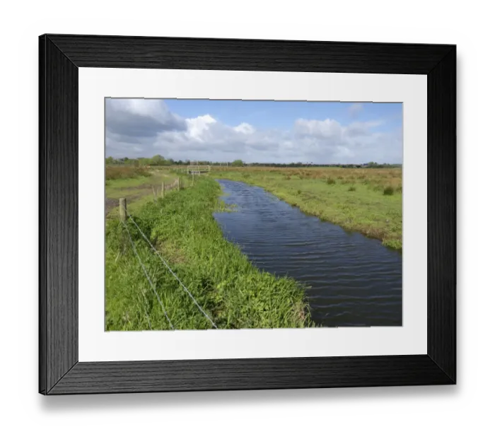 Framed Print : View of freshwater marshland and wet grassland habitat, Doxey Marshes, Staffordshire Wildlife Trust Reserve