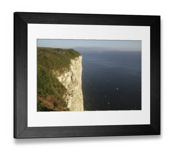 Framed Print : View of chalk cliffs and seabirds in flight over sea, Bempton Cliffs RSPB Reserve, Bempton, East Yorkshire, England