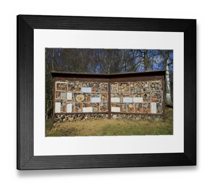 Framed Print : Guinness World Record holder for largest bug hotel, Sevenoaks Wildlife Reserve, Kent, England, February Framed Print : Guinness World Record holder for largest bug hotel, Sevenoaks Wildlife Reserve, Kent, England, February