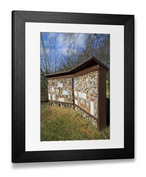 Framed Print : Guinness World Record holder for largest bug hotel, Sevenoaks Wildlife Reserve, Kent, England, February